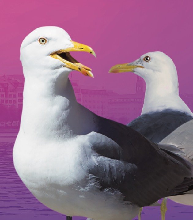 CollabDays Hamburg 2026